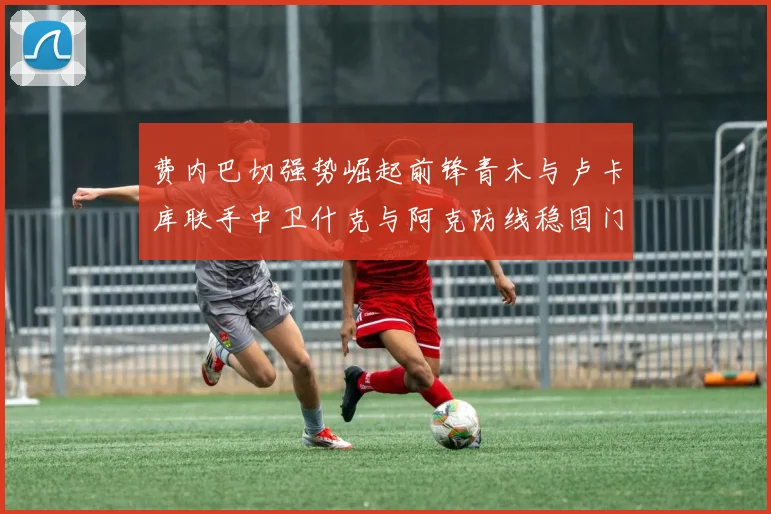 费内巴切强势崛起前锋青木与卢卡库联手中卫什克与阿克防线稳固门将埃德松实力不容小觑